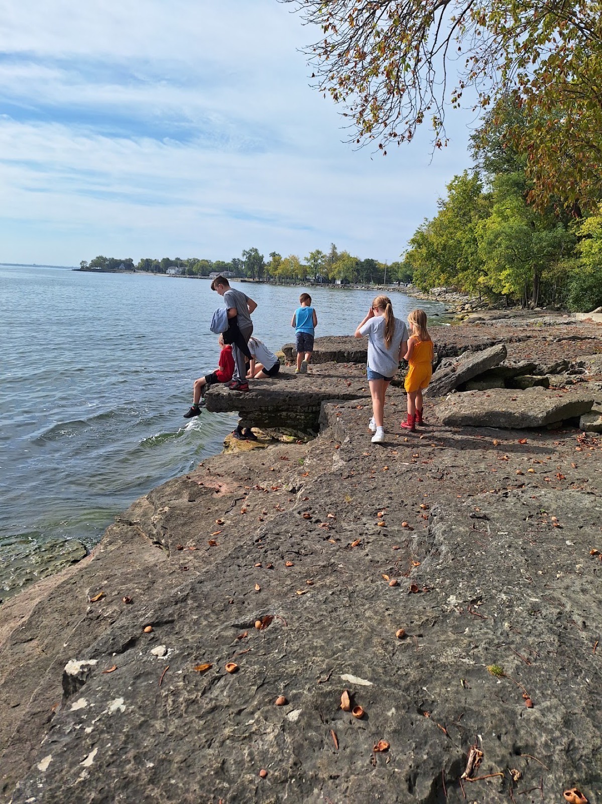 CCA students exploring the rocky Lake Erie shoreline on a field trip